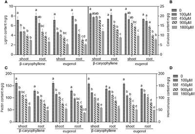 Characterization key genes of Arabidopsis seedlings in response to β-caryophyllene, eugenol using combined transcriptome and WGCN analysis